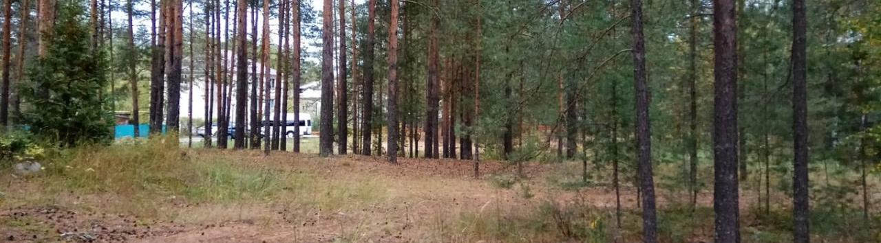 Санаторий Южный